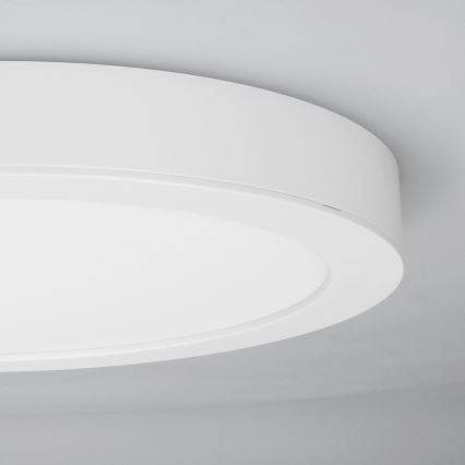 LED pinnapealne/lae sisse paigaldatav paneel 2-ühes 24W/230V 3000/4000/6000K läbimõõt 30 cm IP54 valge