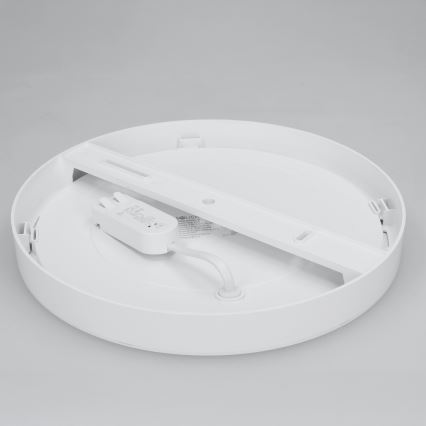 LED pinnapealne/lae sisse paigaldatav paneel 2-ühes 24W/230V 3000/4000/6000K läbimõõt 30 cm IP54 valge