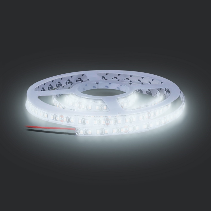 LED Riba LED/50W/12V 5m külm valge