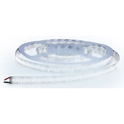 LED Riba LED/80W/12V 5m külm valge