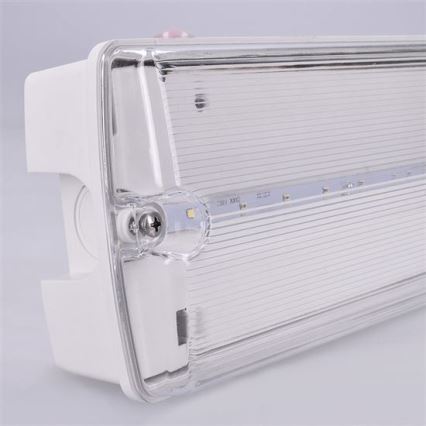 LED Avariivalgusti LED/3,2W/230V IP65 6500K