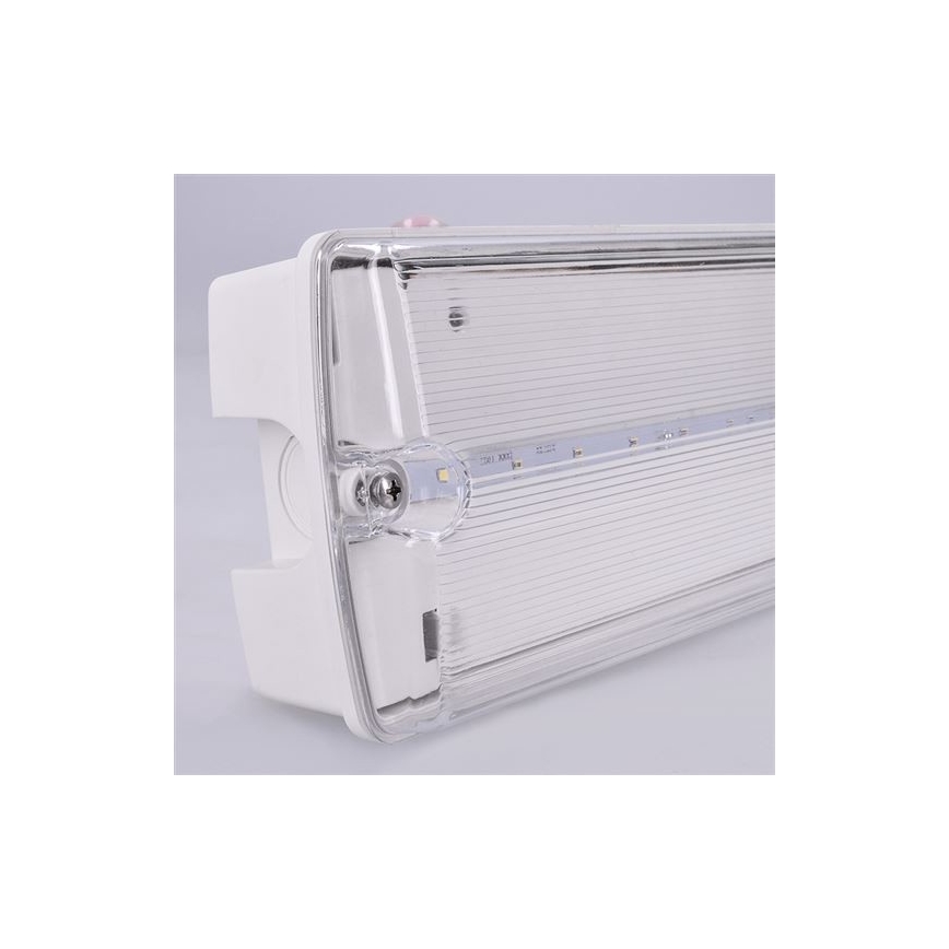 LED Avariivalgusti LED/6W/230V IP65 6500K