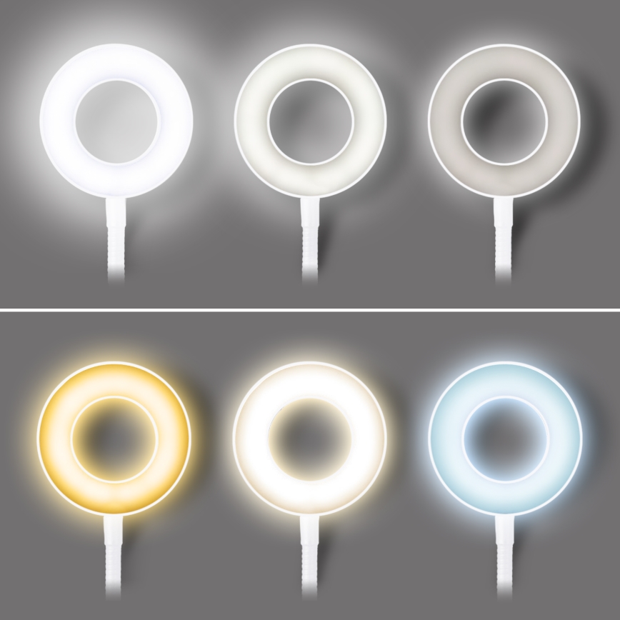 Hämardatav LED-laualamp klambriga LED/8W/230V 3000/4000/5000K valge