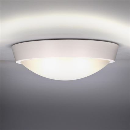 LED Väli seinavalgusti 1xLED/18W/230V  IP65