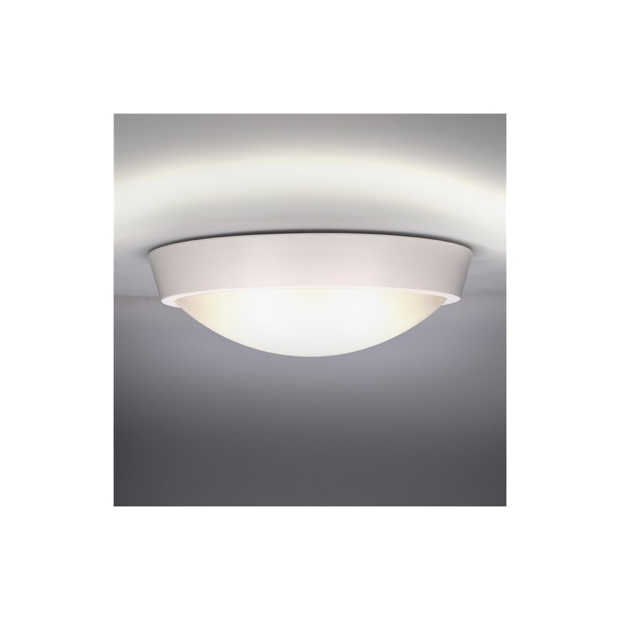 LED Väli seinavalgusti 1xLED/18W/230V  IP65