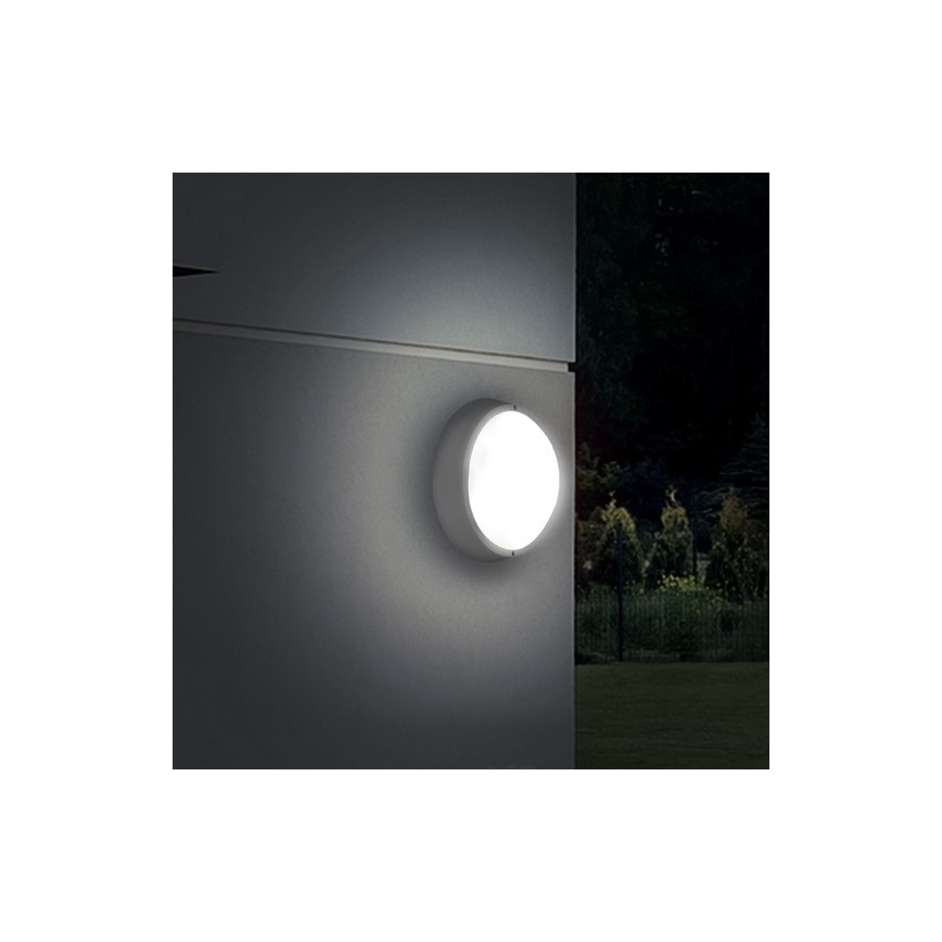 LED Väli seinavalgusti 1xLED/18W/230V  IP65