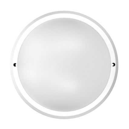 LED Väli laevalgusti 1xLED/30W/230V  IP65