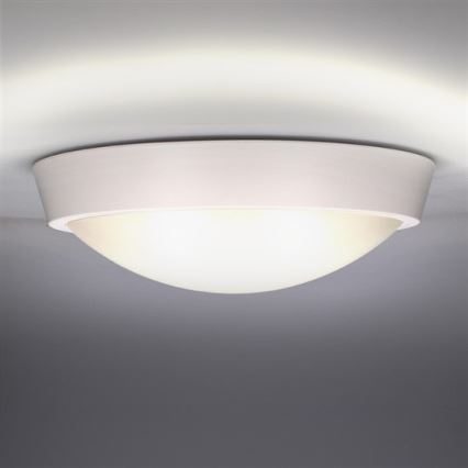 LED Väli laevalgusti 1xLED/30W/230V  IP65