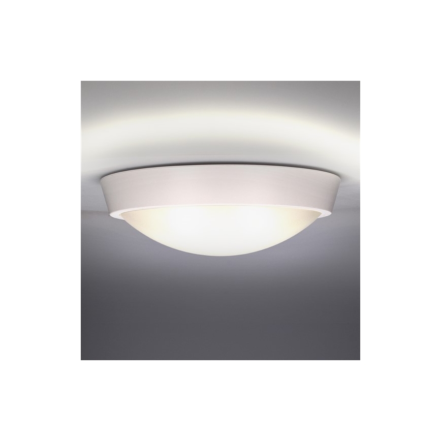 LED Väli laevalgusti 1xLED/30W/230V  IP65