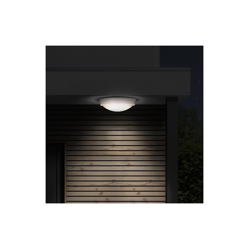 LED Väli laevalgusti 1xLED/30W/230V  IP65