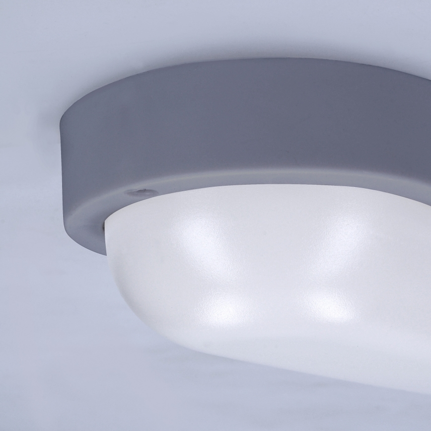 LED Väli seinavalgusti LED/13W/230V 4000K IP54 hall ovaalne