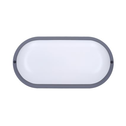 LED Väli seinavalgusti LED/13W/230V 4000K IP54 hall ovaalne