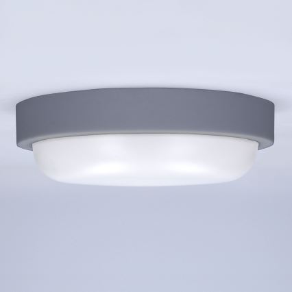 LED Väli seinavalgusti LED/13W/230V 4000K IP54 hall ümmargune