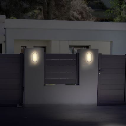 LED Väli seinavalgusti LED/20W/230V 4000K IP54 hall ovaalne