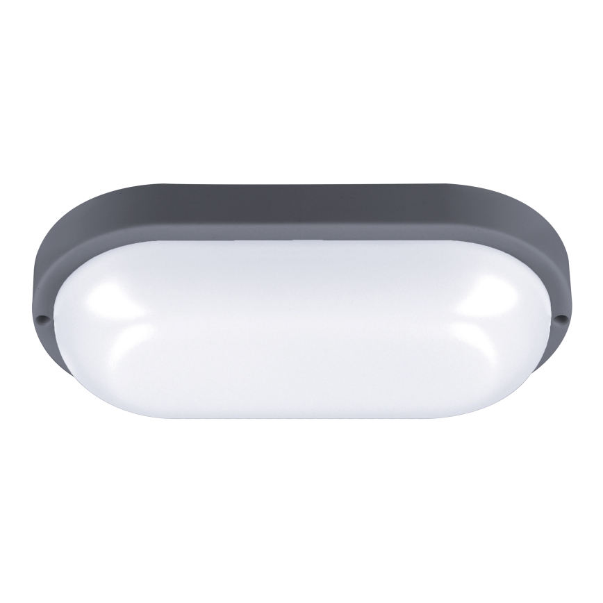 LED Väli seinavalgusti LED/20W/230V 4000K IP54 hall ovaalne