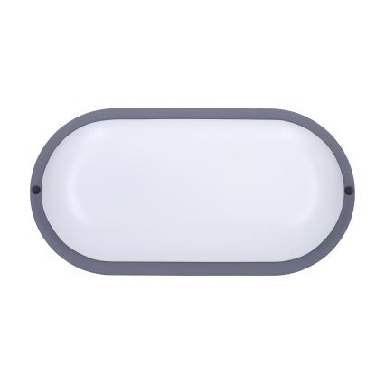 LED Väli seinavalgusti LED/20W/230V 4000K IP54 hall ovaalne