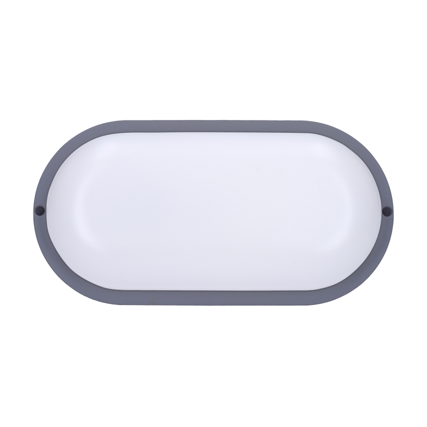 LED Väli seinavalgusti LED/20W/230V 4000K IP54 hall ovaalne