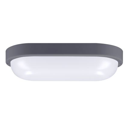 LED Väli seinavalgusti LED/20W/230V 4000K IP54 hall ovaalne