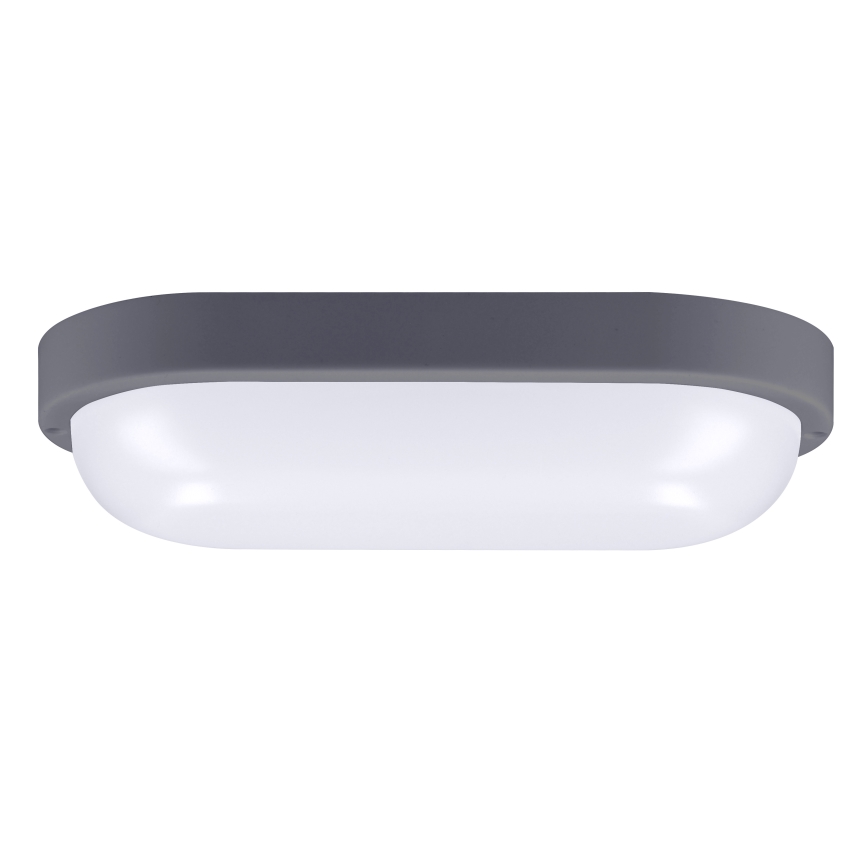 LED Väli seinavalgusti LED/20W/230V 4000K IP54 hall ovaalne