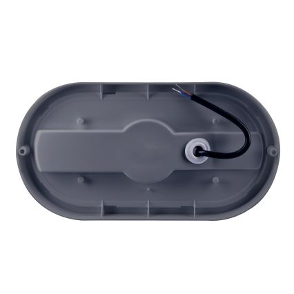 LED Väli seinavalgusti LED/20W/230V 4000K IP54 hall ovaalne