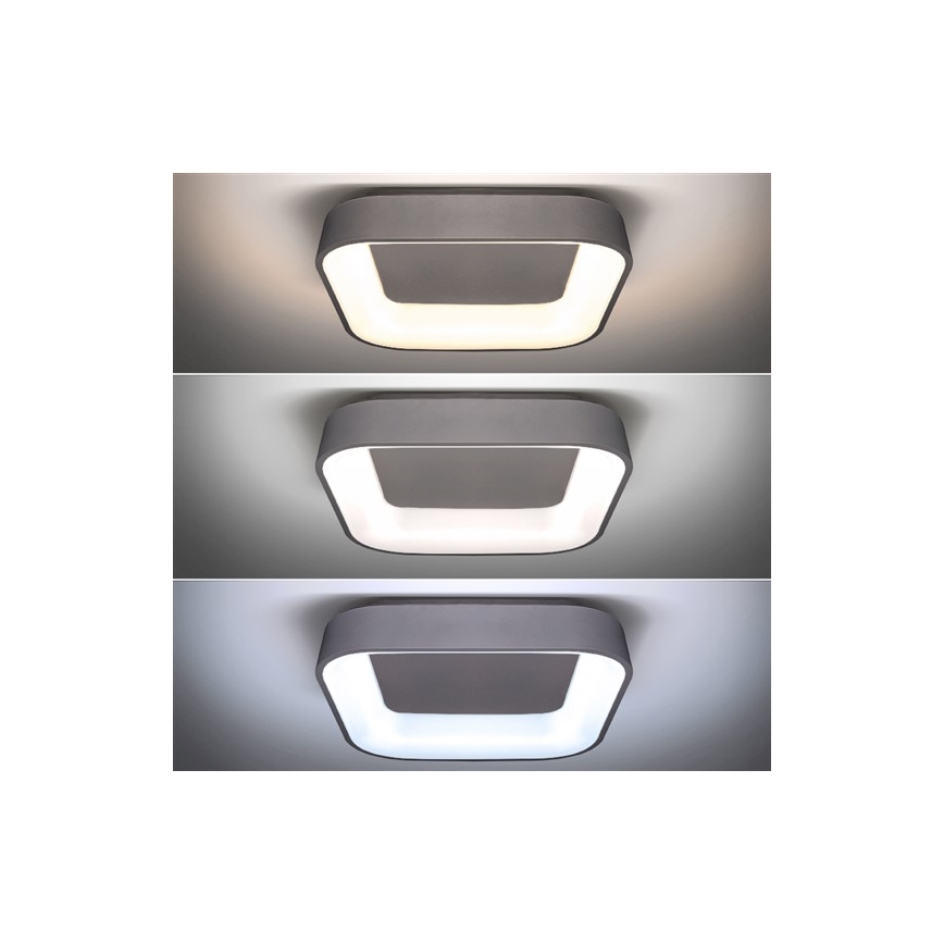 LED Hämardatav laevalgusti TREVISO LED/48W/230V + Pult