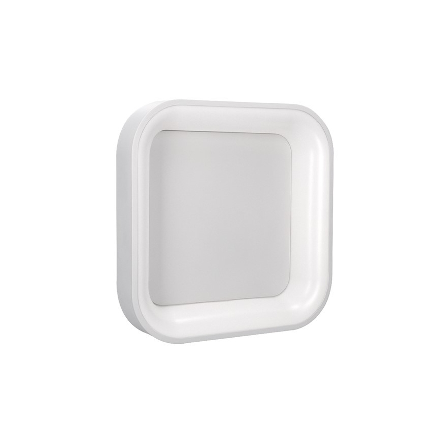 LED Hämardatav valgusti LED/48W/230V + Pult