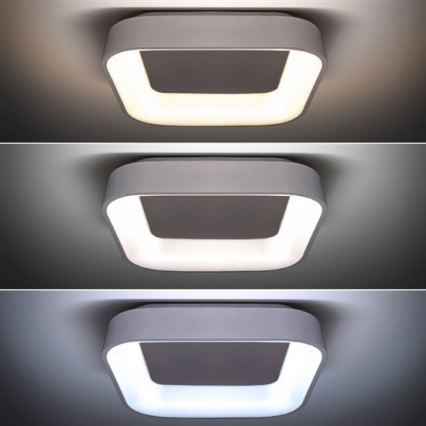 LED Hämardatav valgusti LED/48W/230V + Pult