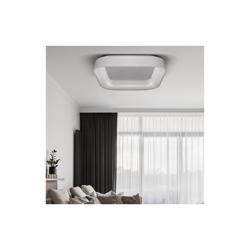 LED Hämardatav valgusti LED/48W/230V + Pult