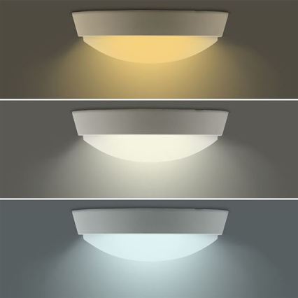 LED-välisseinavalgusti 2-ühes, 20 W, 230 V, 3000/4000/6500 K, IP65, Ø22 cm