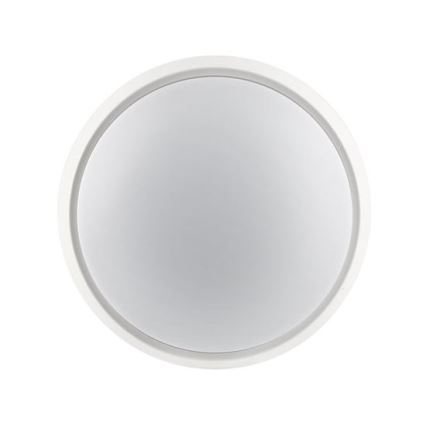 LED-välisseinavalgusti 2-ühes, 20 W, 230 V, 3000/4000/6500 K, IP65, Ø22 cm