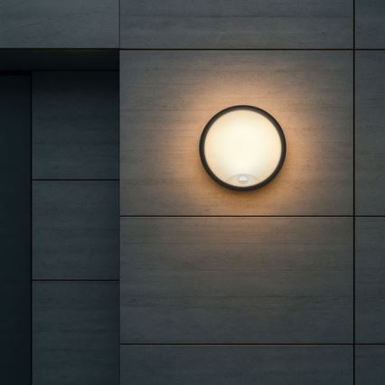 LED-välisseinavalgusti anduriga 2-ühes LED/20W/230V 3000/4000/6500K IP65 läbimõõt 22 cm