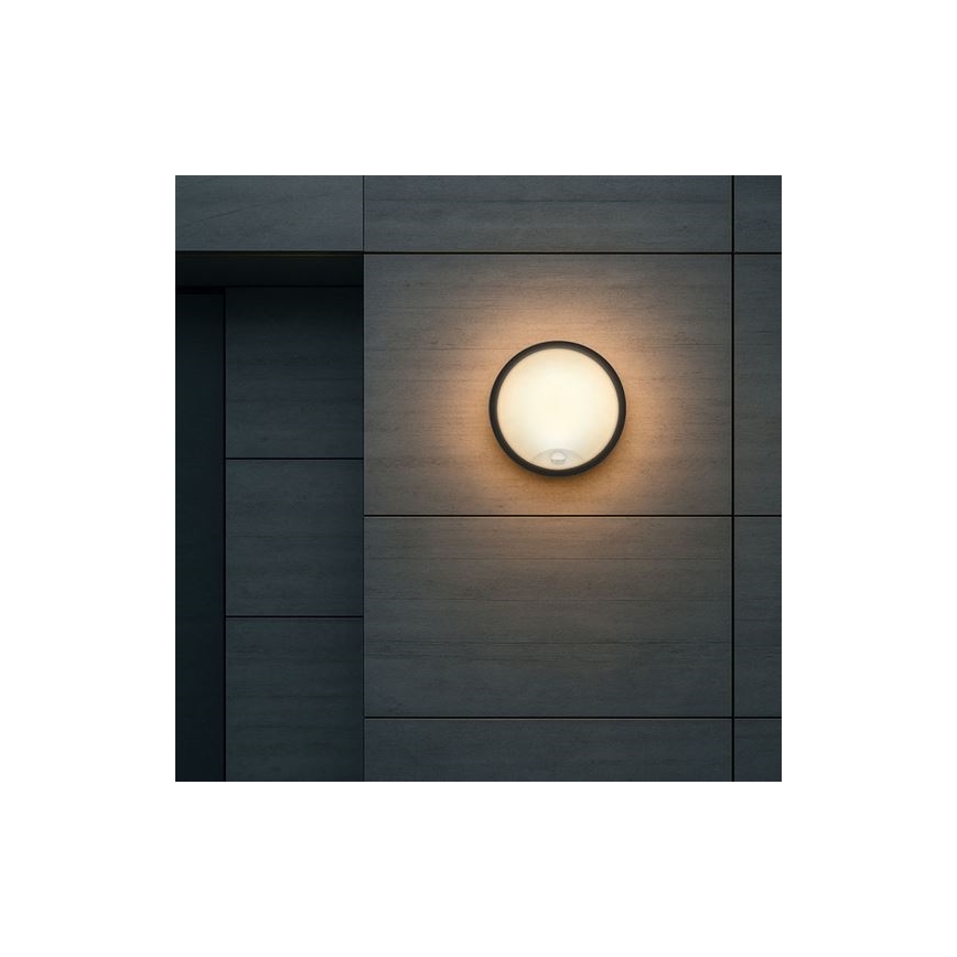 LED-välisseinavalgusti anduriga 2-ühes LED/20W/230V 3000/4000/6500K IP65 läbimõõt 22 cm