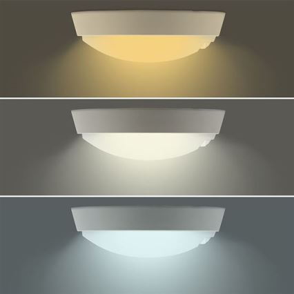 LED-välisseinavalgusti anduriga 2-ühes LED/20W/230V 3000/4000/6500K IP65 läbimõõt 22 cm
