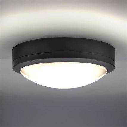 LEd Väli laevalgusti SIENA LED/20W/230V IP54 d. 23 cm antratsiit