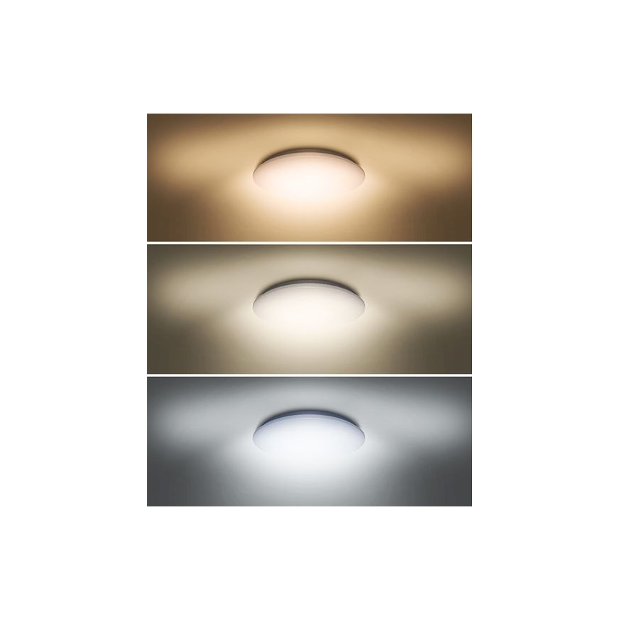 LED Laevalgusti PLAIN LED/24W/230V 3000K/4000K/6000K ümmargune