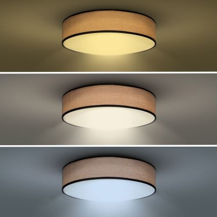 LED Hämardatav laevalgusti BROWNIE LED/48W/230V 3000-6500K pruun d. 40 cm + kaugjuhtimispult