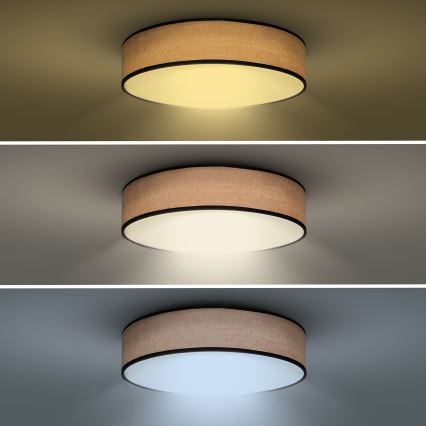 LED Hämardatav laevalgusti BROWNIE LED/60W/230V 3000-6500K pruun d. 50 cm + kaugjuhtimispult