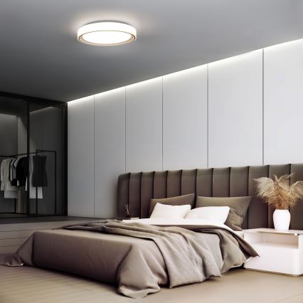 RGB LED Hämardatav laevalgusti FLOCO LED/30W/230V 3000-6500K + RGB/6W d. 40cm + kaugjuhtimispult