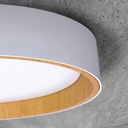LED Hämardatav laevalgusti LARIOS LED/48W/230V 3000-6500K d. 39 cm valge + kaugjuhtimispult