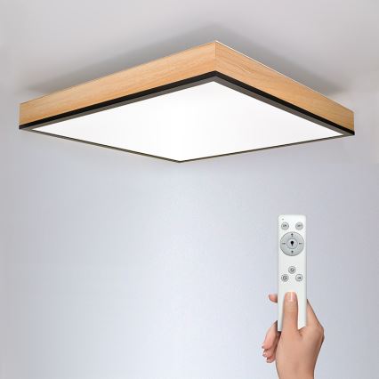 LED Hämardatav laevalgusti LED/40W/230V 3000-6500K + pult