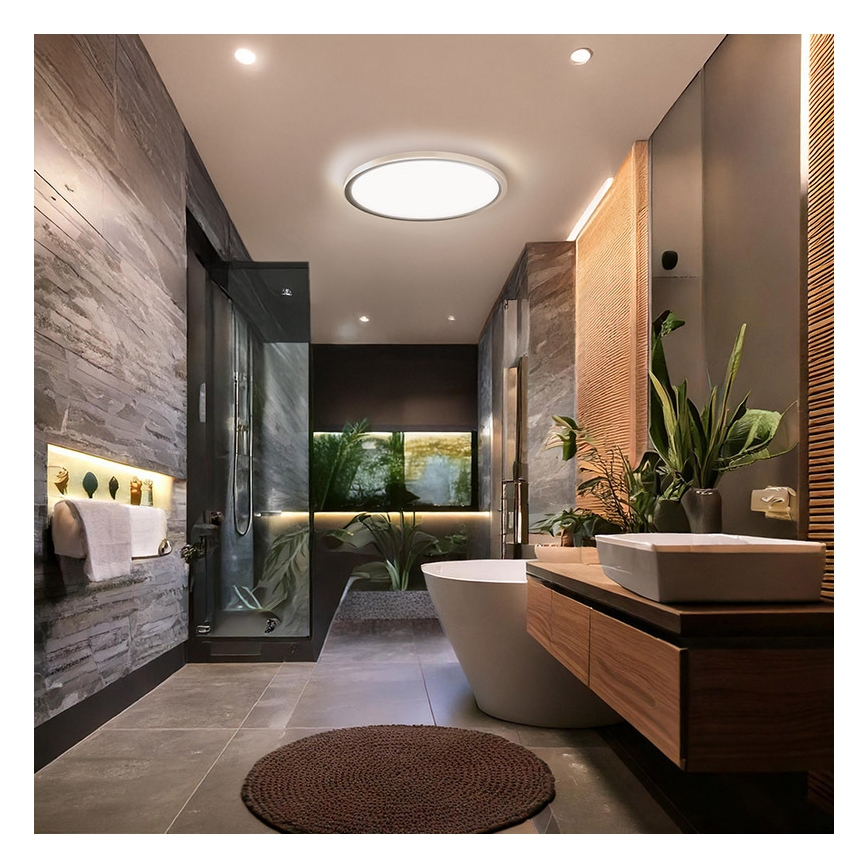 LED vannitoa laelamp ACATE LED/18W/230V 3000/4000/6000K läbimõõt 22 cm IP54