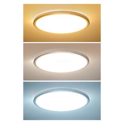 LED vannitoa laelamp ACATE LED/18W/230V 3000/4000/6000K läbimõõt 22 cm IP54