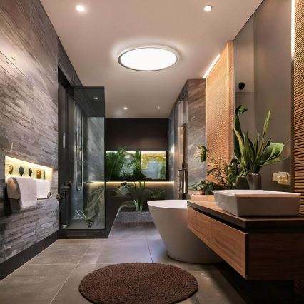 LED-vannitoa laevalgusti ACATE LED/24W/230V 3000/4000/6000K läbimõõt 29,3 cm IP54