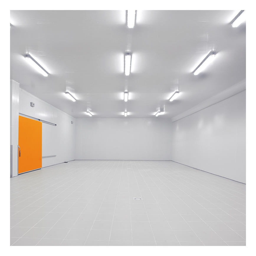 LED Tööstuslik valgusti LED/50W/230V 4000K IP65