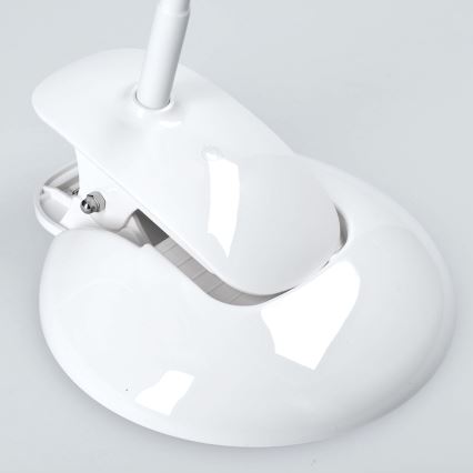 Soligth WO42 - hämardatav LED laualamp aluse ja klambriga LED/5W/230V