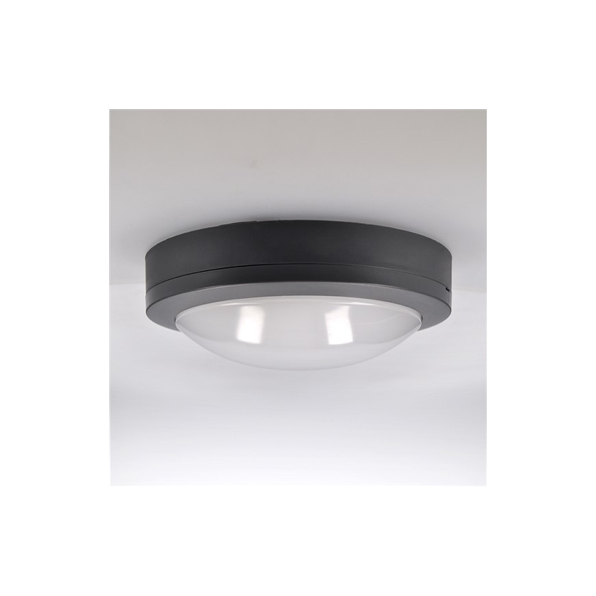 LED Väli laevalgusti LED/13W/230V IP54