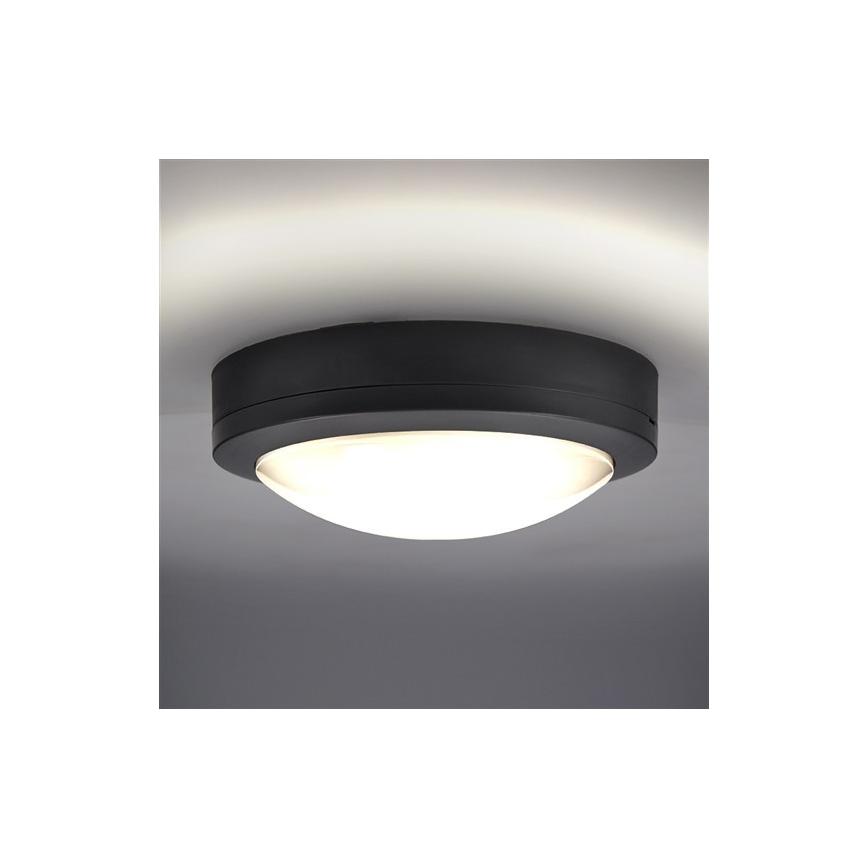 LED Väli laevalgusti LED/13W/230V IP54