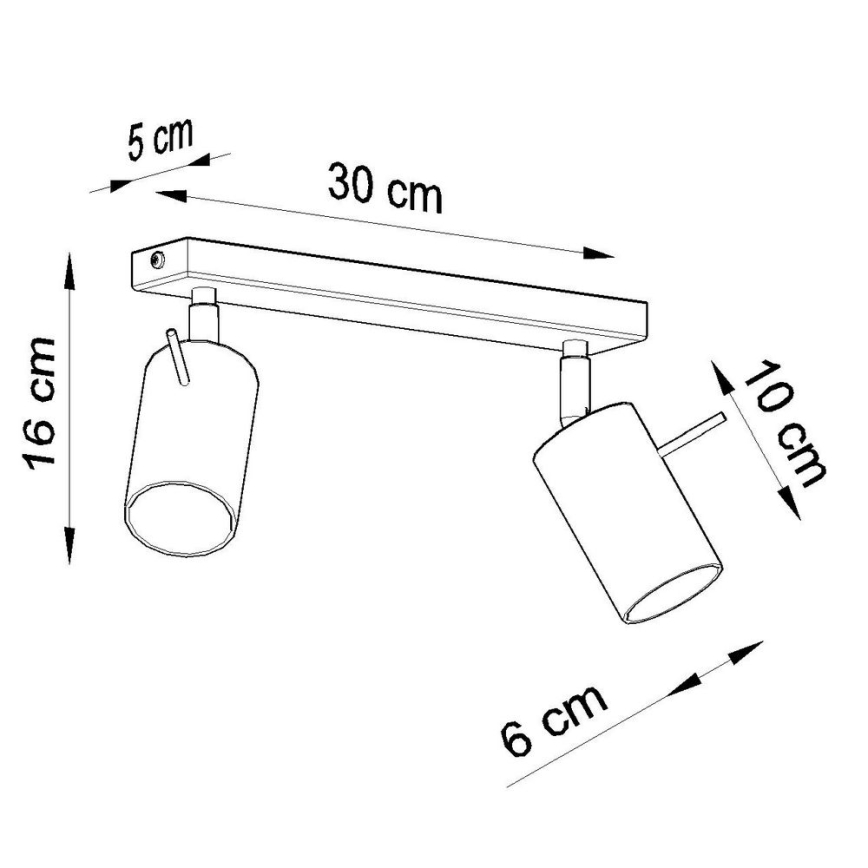 Kohtvalgusti lakke RING 2xGU10/10W/230V