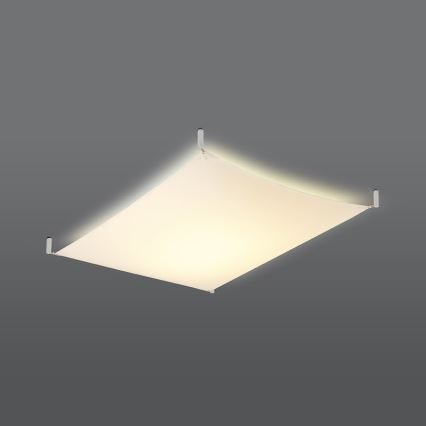 LED laelamp LUNA 2xG13/8,5W/230V 80x105 cm valge