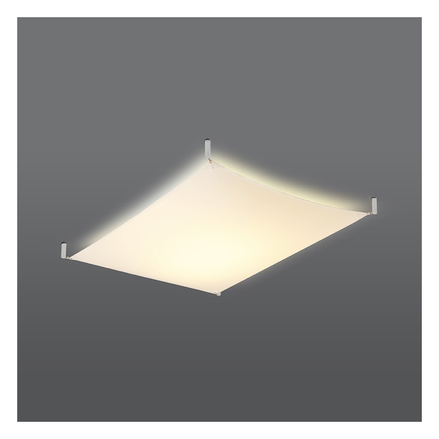 LED laelamp LUNA 2xG13/8,5W/230V 80x105 cm valge